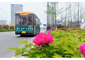 牡丹开出文旅新意 K8凯发国际旗舰厅助洛阳迎盛会